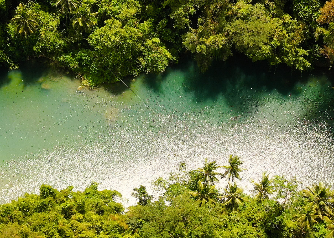 COP16: Innovación en Turismo para la Conservación de la Biodiversidad