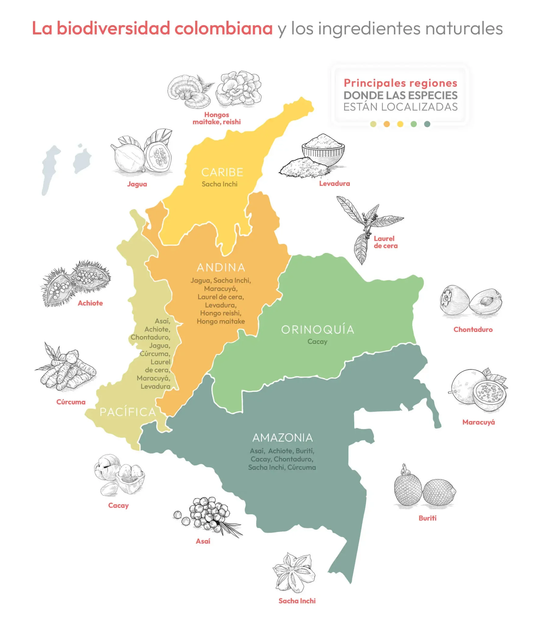 Imagen del mapa de colombia de la biodiversidad