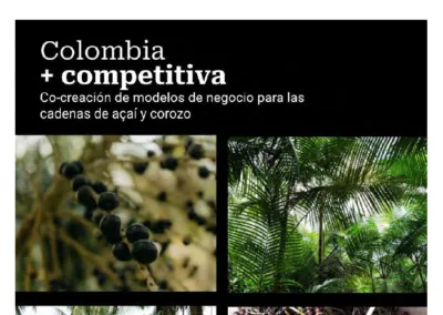 IN. Modelos de negocio corozo y acai