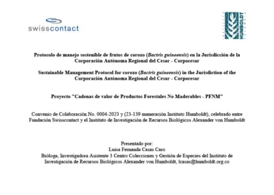 Protocolo de manejo sostenible Corozo