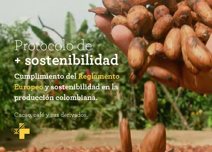 Resumen cumplimiento reglamento Europeo 2023/1115 y la sostenibilidad en la producción colombiana de cacao