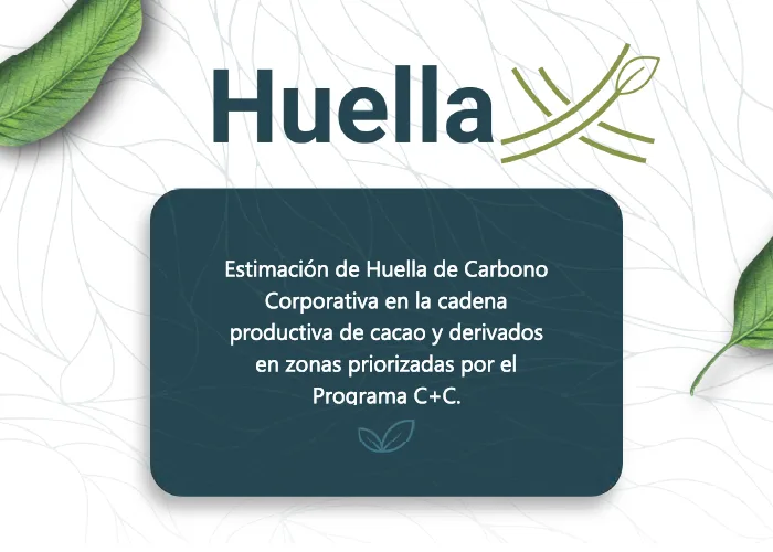 185. resultados de la priorización del segmento MIPYME y el mapeo de instrumentos