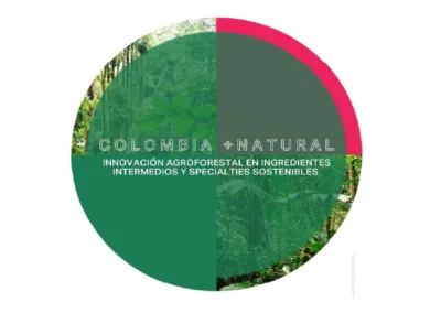 Realizar un análisis de competitividad (análisis del mercado y capacidad del país) para la producción de Ingredientes naturales Intermedios y specialties.