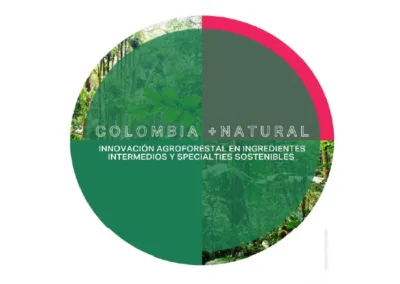 Proyecto montaje planta piloto transformacion multimodal ingredientes naturales intermedios y specialties