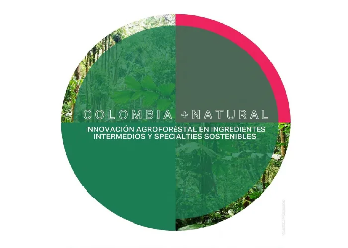 Proyecto montaje planta piloto transformacion multimodal ingredientes naturales intermedios y specialties