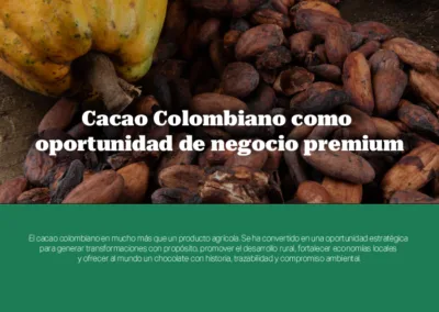 Cacao Colombiano como oportunidad de negocio premium