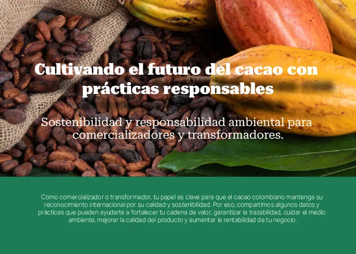 Cultivando el futuro del cacao con prácticas responsables