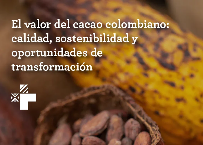 El valor del cacao colombiano: calidad, sostenibilidad y oportunidades de transformación