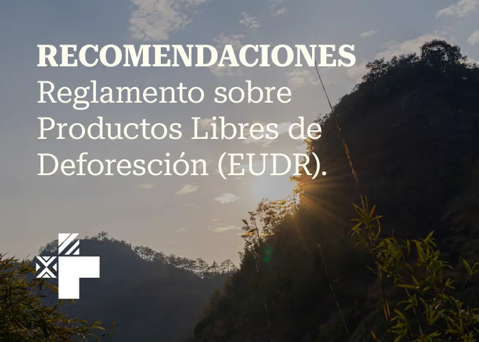 RECOMENDACIONES Reglamento sobre Productos Libres de Deforesción (EUDR).