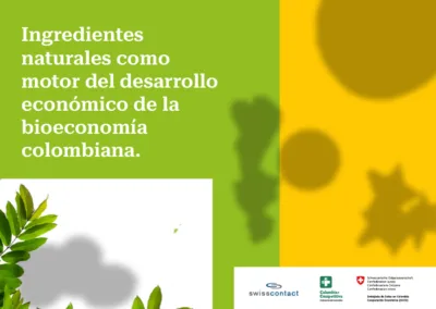 Ingredientes naturales como motor del desarrollo económico de la bioeconomía colombiana.