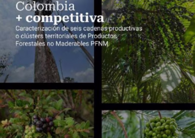 Caracterización de seis cadenas productivas o clústers territoriales de Productos Forestales no Maderables PFNM