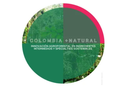 Estrategia de tecnificación y sostenibilidad en la producción de ingredientes naturales