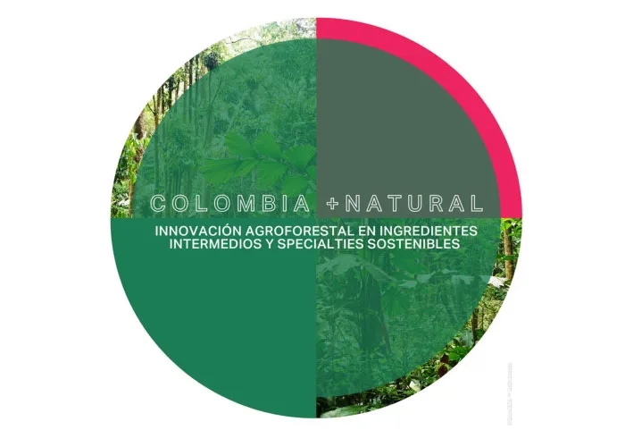 185. resultados de la priorización del segmento MIPYME y el mapeo de instrumentos