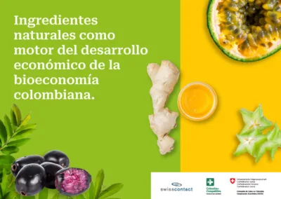 Ingredientes naturales como motor del desarrollo económico de la bioeconomía colombiana
