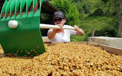 Más de 10 mil millones de pesos