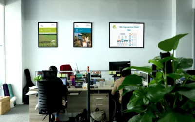 Modelo Educativo Dual, 10 ideas para su implementación