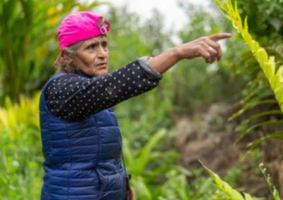 Análisis de las cadenas de valor de asaí, copoazú camucamu y corozo desde una perspectiva GEDSI