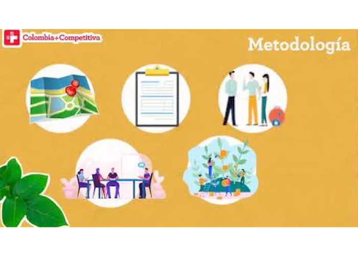 Análisis del Destino – Flujo de Visitantes