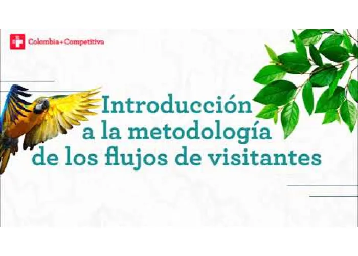 Análisis del Destino – Metodología de Flujos