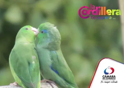 BICI PLAN 3 Cordoba Pijao – Turismo sostenible