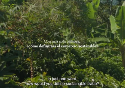 C+C Cápsula la fórmula del comercio sostenible