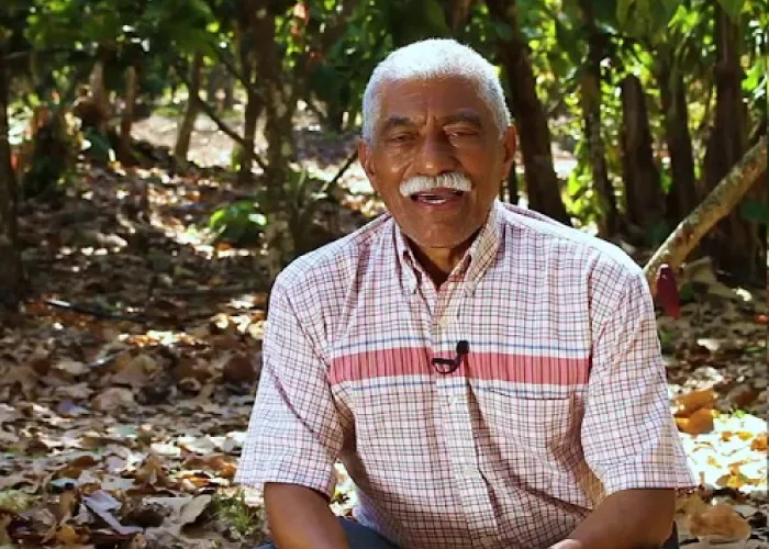 Cacao agrotips – CAESCA