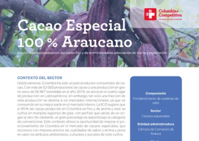 Cacao Especial100 % Araucano