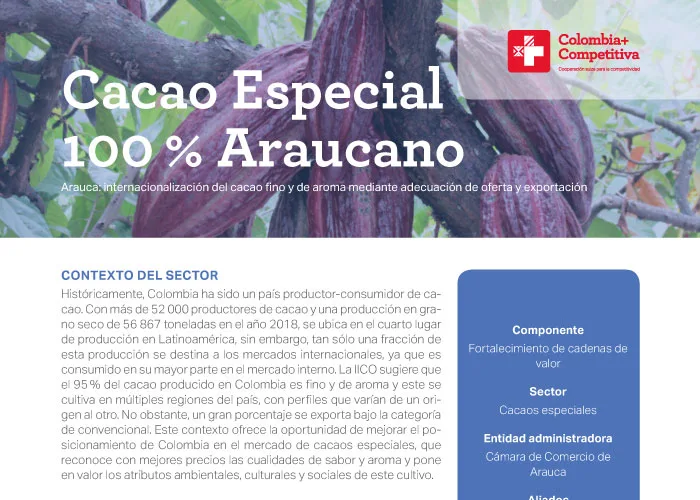 Cacao Especial100 % Araucano
