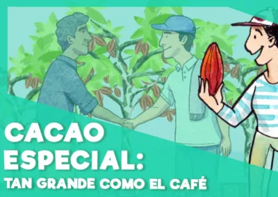 Cacao especial tan grande como el café
