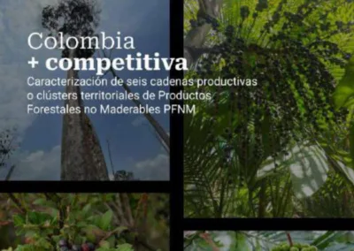 Caracterizacion cadenas clusters productos no maderables