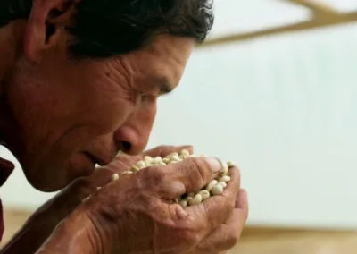 Cóndor Nariño – A flight above Nariño, Colombia – Café