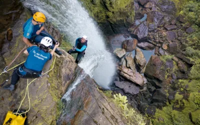 El turismo de naturaleza: la carta de las regiones para la reactivación económica