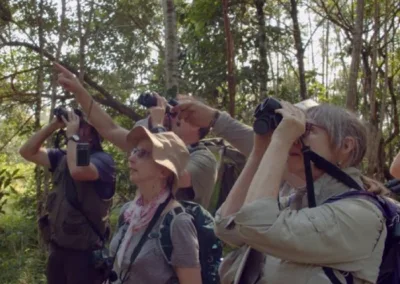 Destino Putumayo – Aves (Inglés) – Turismo