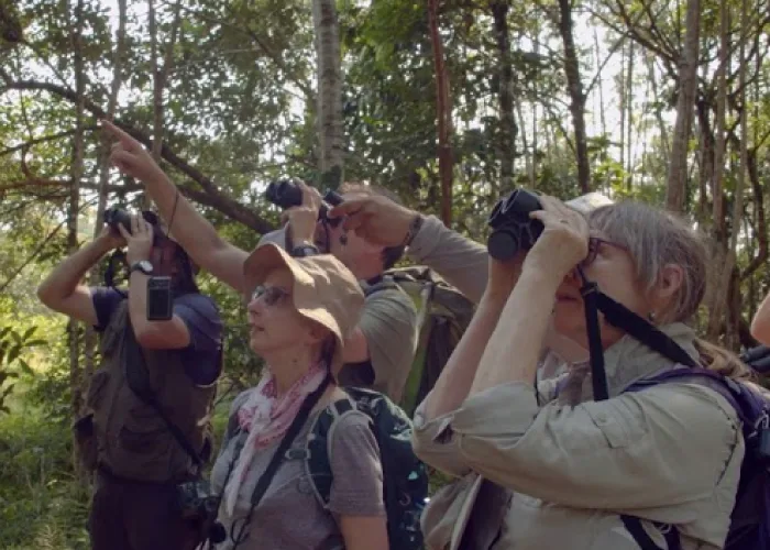 Destino Putumayo – Aves (Inglés) – Turismo