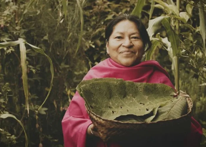 Destino Putumayo – Sanidad (Inglés) – Turismo