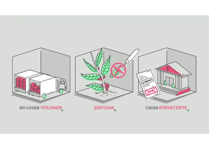 Enfoque Desarrollo de Sistema de Mercado (DSM)