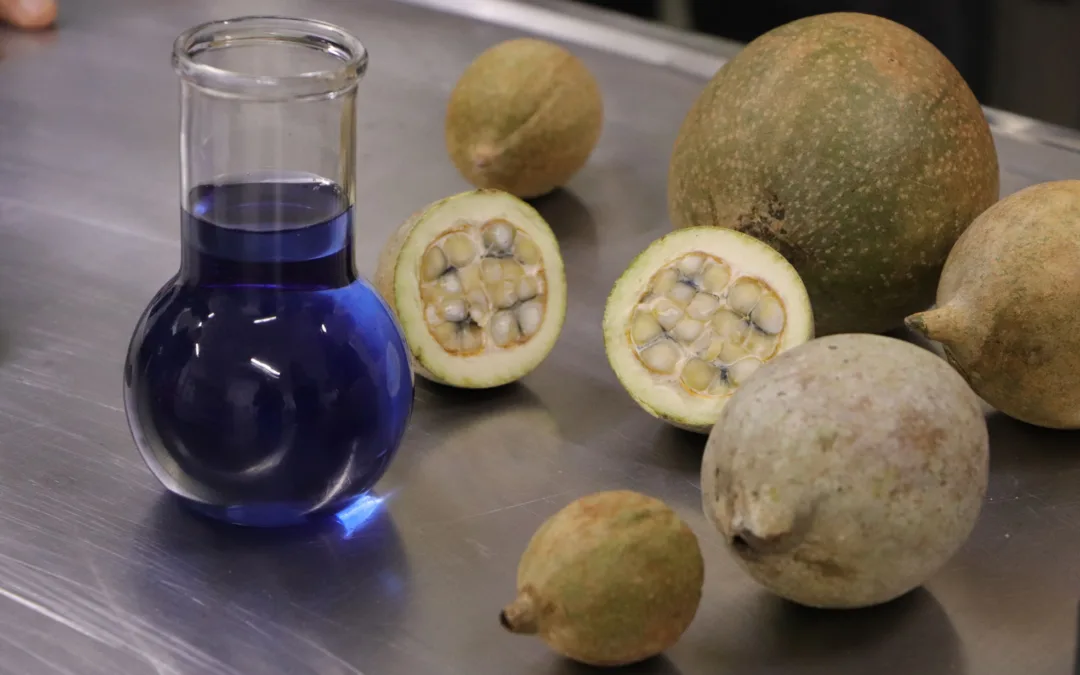 Mujeres colombianas lideran un hito científico de impacto global