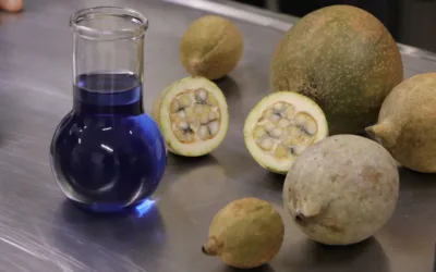 Mujeres colombianas lideran un hito científico de impacto global