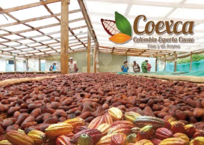 Guía de buenas practicas de poscosecha