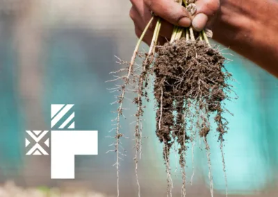 Guía para el diseño e implementación de políticas de transformación productiva con enfoque territorial