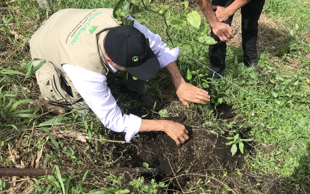 Más de 13.00 millones de pesos