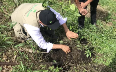 Más de 13.00 millones de pesos