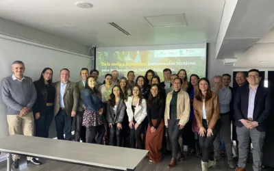 Sostenibilidad: puerta de acceso al mercado europeo