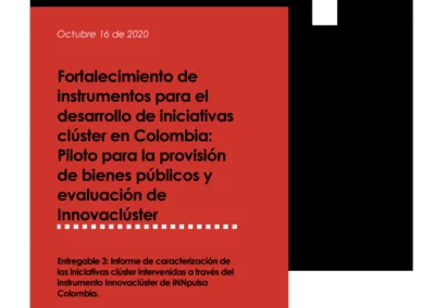 Informe caracterizacion iniciativas cluster