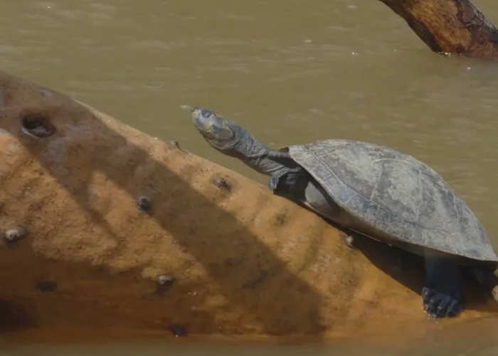 La Macarena – Turismo Sostenible