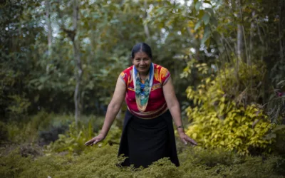 Turismo + Sostenible