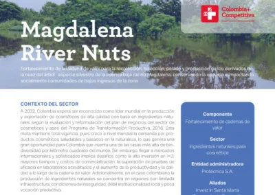 Magdalena River Nuts