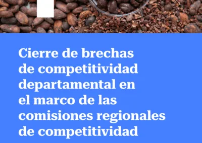 Metodología para el análisis de brechas departamentales en Colombia