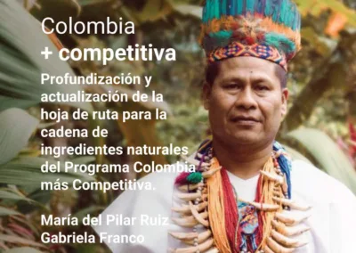 Propuesta de gobernanza – ingredientes naturales – enfoque cadena