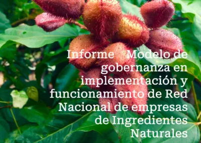 Propuesta de gobernanza – ingredientes naturales – enfoque cluster